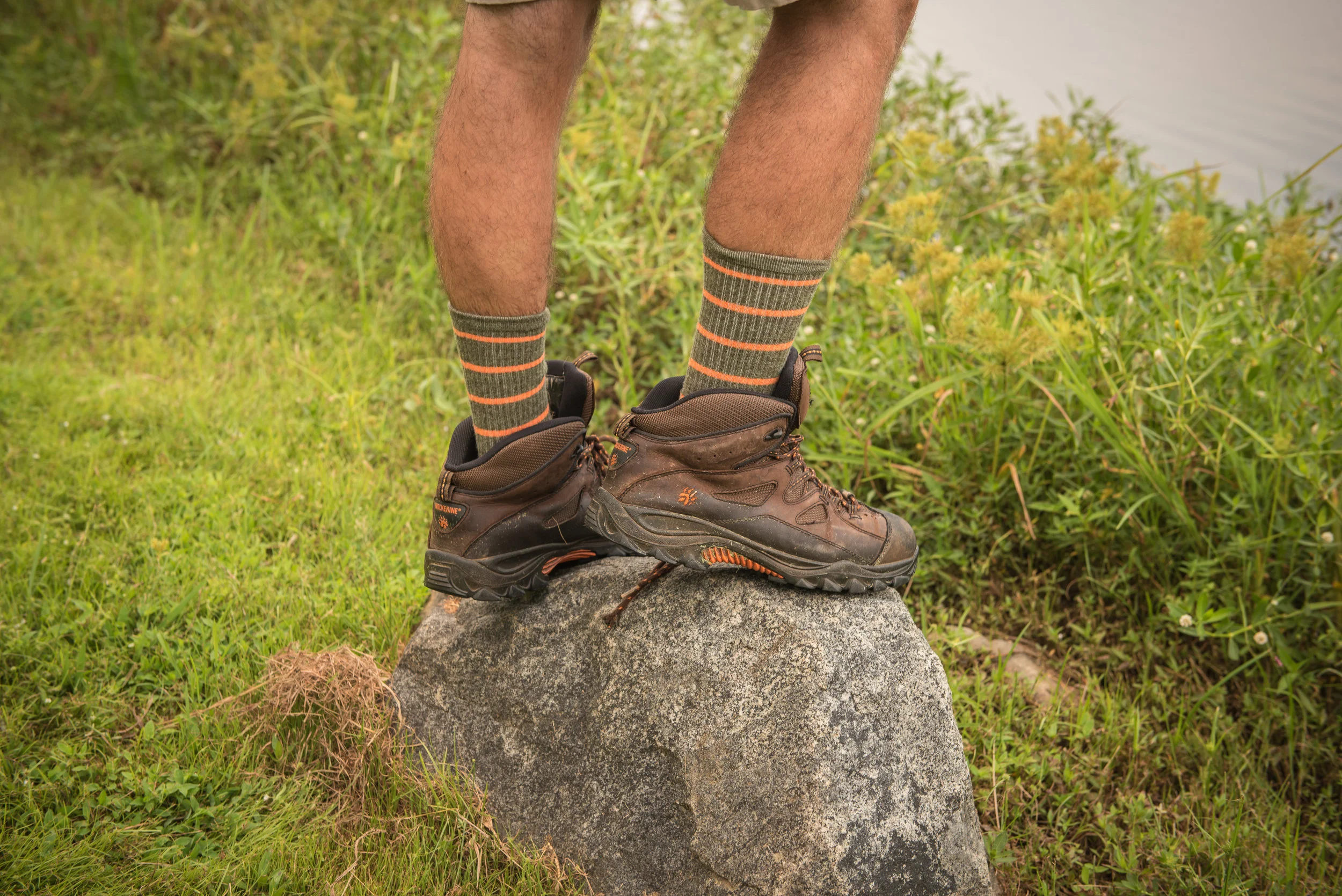 Wool iq online socks